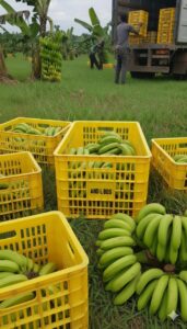 WhatsApp Image 2025 09 30 At 16.06.03 171x300