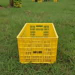 Nos produits WhatsApp Image 2025-09-30 at 16.06.04